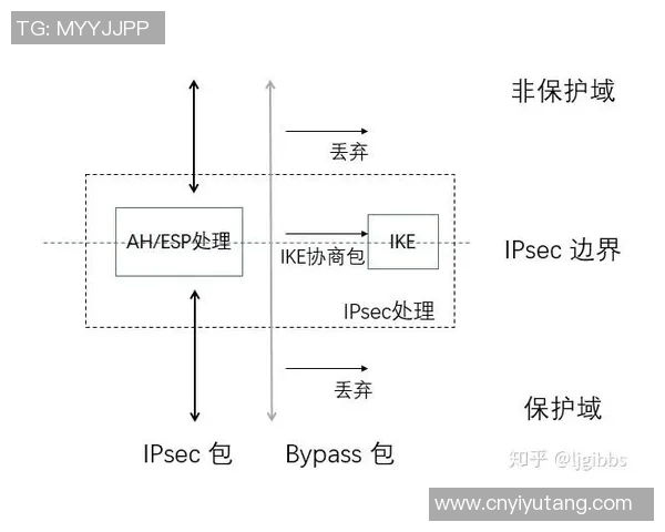 南京排球队战术解析：构建高效控制体系的策略与实践