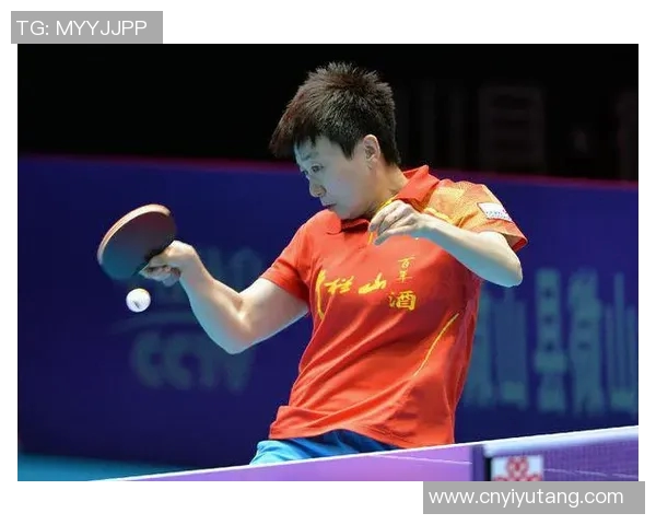 南京乒乓球队进攻体系解析与战术运用探讨